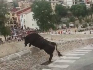 ANPBA solicita a la Generalitat una investigación por la caída de un toro al vacío desde una altura de 15 metros en Ontinyent (Valencia)