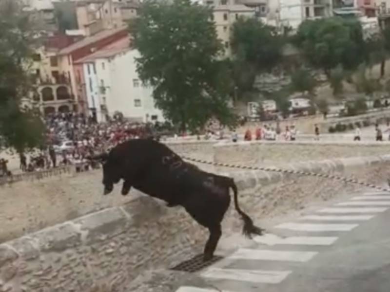 ANPBA solicita a la Generalitat una investigación por la caída de un toro al vacío desde una altura de 15 metros en Ontinyent (Valencia)