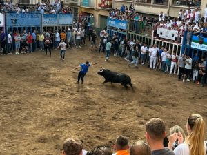 Toros de la ganadería Torrealta y Juan Pedro Domecq en la recta final de Santa Quitèria 2023 – Almassora (Castellón)