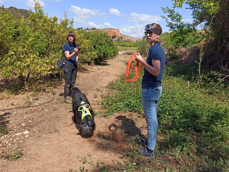 Tres biólogas suizas encuentran con sus perros 288 huevos de tortuga invasora en la Marjal de Almenara- Castellón