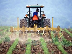 AVA-ASAJA avisa a los agricultores valencianos de posibles duplicidades en las subvenciones de la PAC