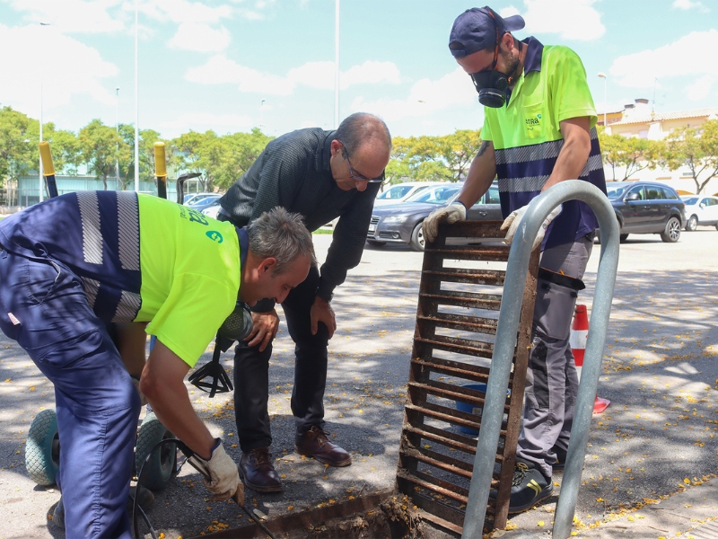 Sigue la fumigación para atajar las plagas de mosquitos en Onda – Castellón