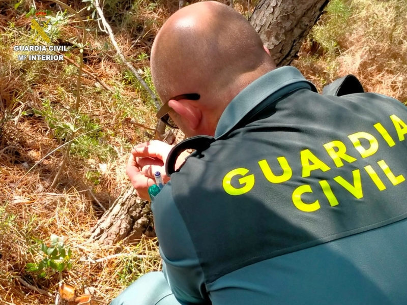 Investigación en curso por la muerte de un perro con lazos trampa en L’Ollería – Valencia