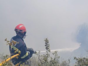 Un incendio industrial afecta a un almacén de fibra de coco en Segorbe – Castellón