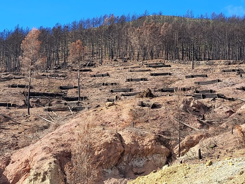 Un proyecto piloto medirá el impacto de los incendios a través de la huella de carbono en el Alto Palancia – Castellón