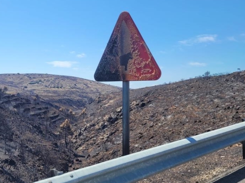 Campaña de crowdfunding para replantación de olivos tras el incendio de 2022 en Bejís – Castellón