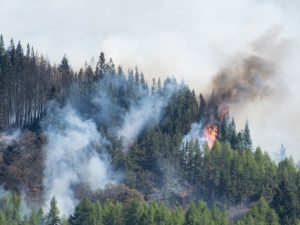 Varias dotaciones de bomberos movilizadas a un incendio forestal en Les Useres – Castellón