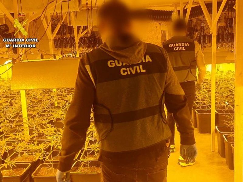 Desarticulada organización dedicada al cultivo de marihuana indoor en Alcora y Vall d´Alba (Castellón)