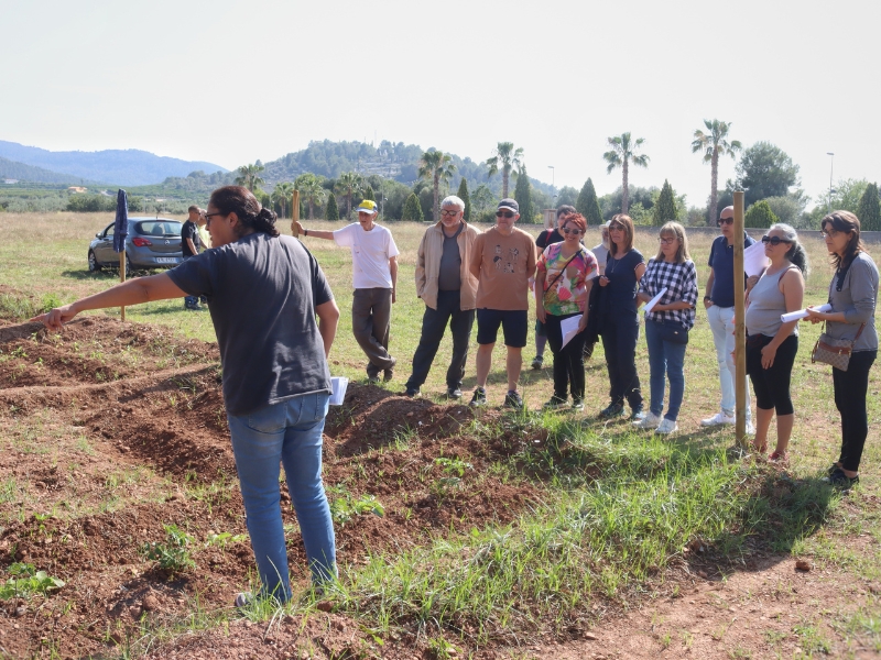 Talleres de verano en el huerto intergeneracional con los calendarios de plantación en Onda – Castellón