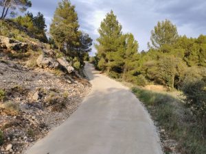 Diputación ayuda en las mejoras de la pista forestal de ‘La Juncosa’ en Palanques (Castellón)