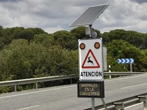 Así funciona el único dispositivo que hay en España para evitar el atropello de animales en carretera