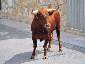 Programación de las fiestas de ‘Dalt de la Muralla 2023’ – Almenara (Castellón)