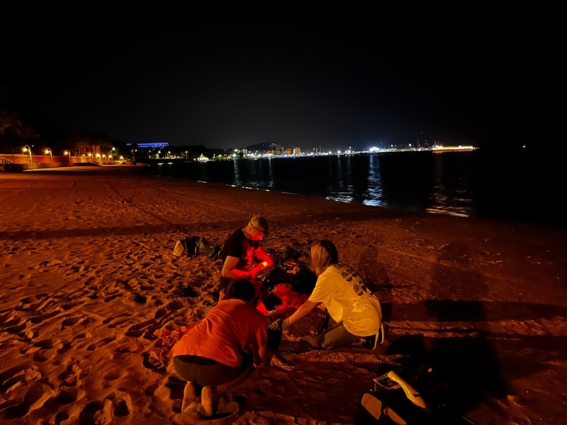 Una tortuga marina anida con éxito y deja 80 huevos en la playa Marineta Cassiana de Dénia – Alicante