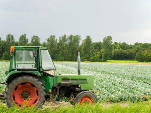 La Unió resalta que solo el 5% de las infracciones laborales por inspecciones de trabajo corresponden al sector agrario