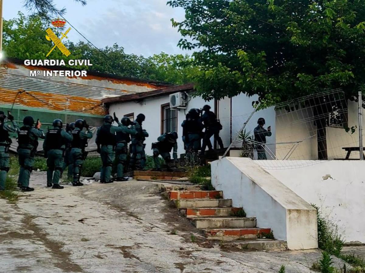 VÍDEO – Desmantelada plantación de marihuana en una nave de Llutxent – Valencia