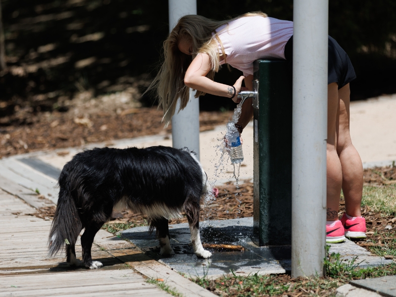 Sanidad alerta de ‘alto riesgo por calor’ en 46 municipios de la Comunitat Valenciana