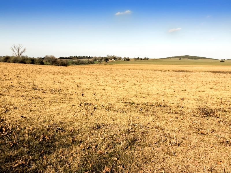 Agricultura presenta el listado provisional e inicia las ayudas por la sequía a ganaderos y agricultores