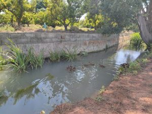 Ampliación y mejora de la zona de ocio del ‘Carcau’ en La Llosa (Castellón)