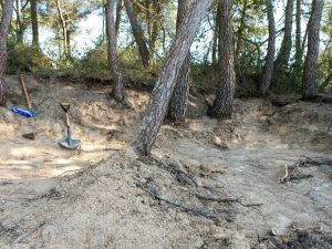 Domingo de homenaje y entierro a los 9 soldados republicanos hallados en Vistabella – Castellón