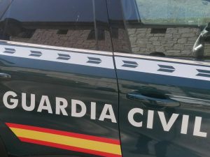 Dos detenidos en Benicàssim con 1.000 esquejes de marihuana en un vehículo – Castellón