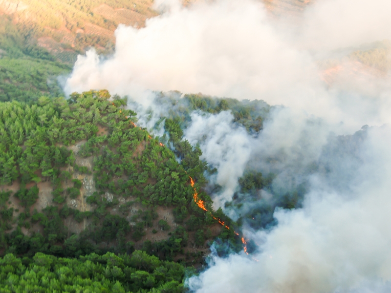 Protección Civil advierte de riesgo extremo de incendios y altas temperaturas en amplias zonas del país