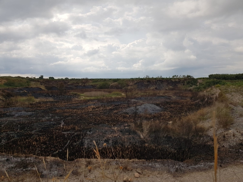 Un pequeño incendio a punto de propagarse en el Paisaje Protegido de la Desembocadura del río Mijares – Castellón