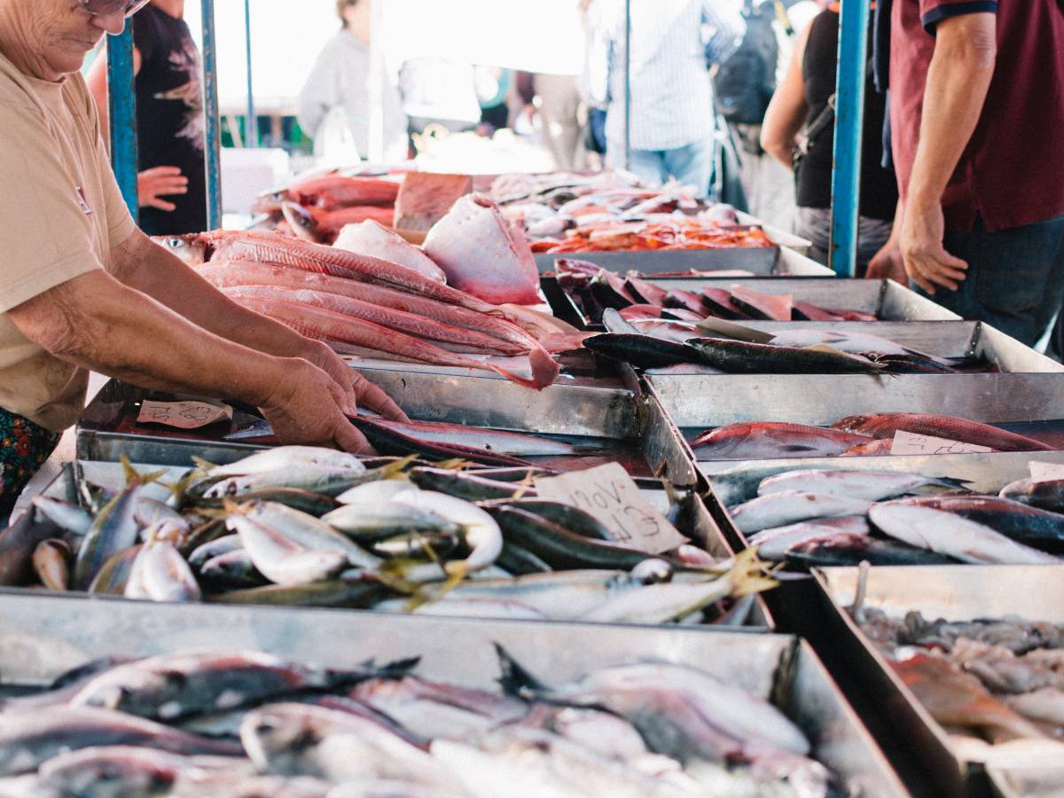 El Ayuntamiento de Castellón se compromete a promover el consumo del ‘peix del Grau’