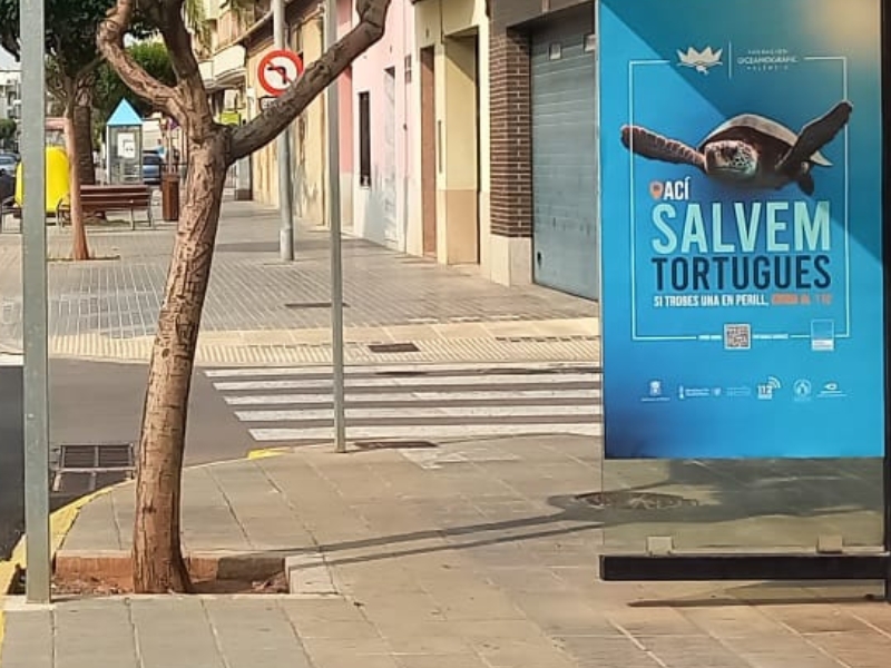 La campaña «Tortugas en el Mediterráneo – Aquí salvamos tortugas» cuenta con el apoyo de Nules – Castellón