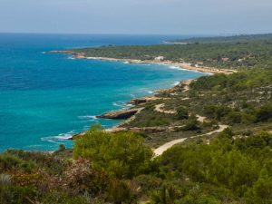 El 15 de julio empieza la regulación de vehículos a motor en el Parque Natural de la Serra d’Irta – Castellón