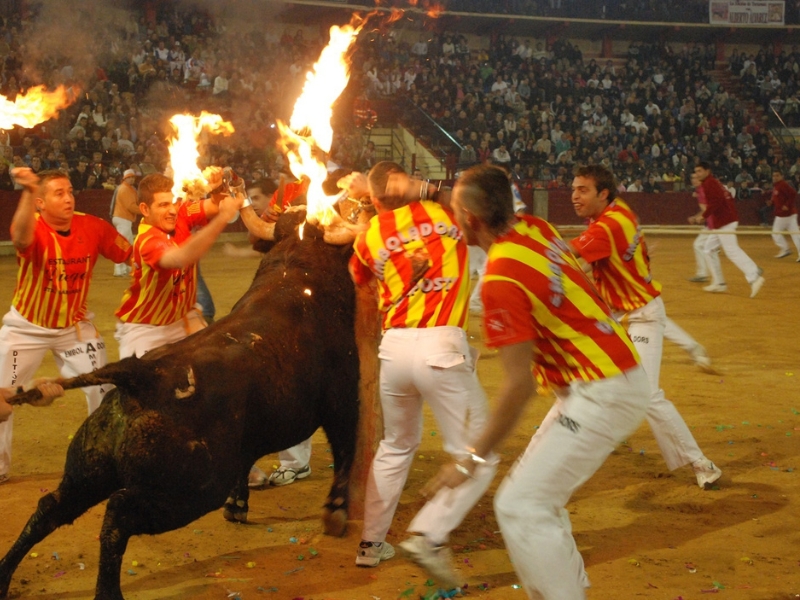 Federación de Peñas recurre la negativa a celebrar ‘Bou Embolat’ en las pedanías de Valencia