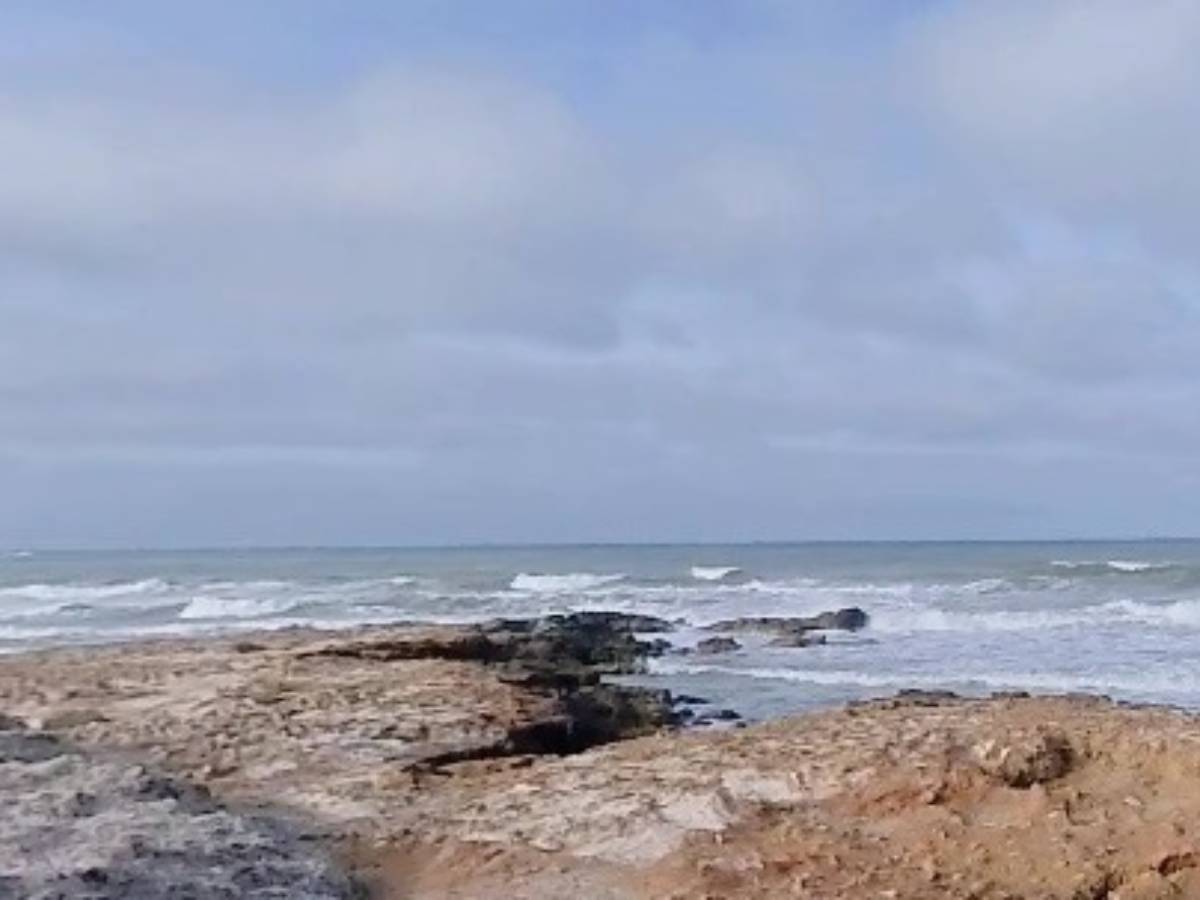 Reapertura de playas en Torreblanca y Cabanes: Analíticas descartan toxicidad en el agua