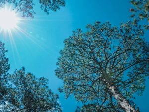 Chubascos en Castellón y calor en toda la Comunitat