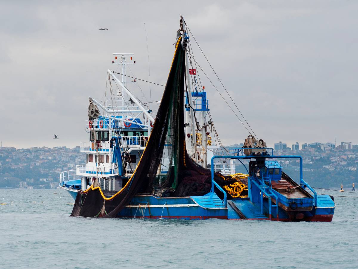 El Gobierno completa la asignación de días de pesca 2023 para la flota de arrastre en el Mediterráneo