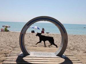 Los perros ya tienen su ducha canina en la playa de Moncofa