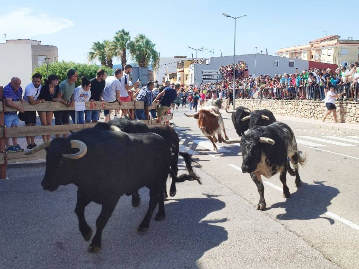 Encierro multitudinario en Vall d´Alba con seis toros cerriles