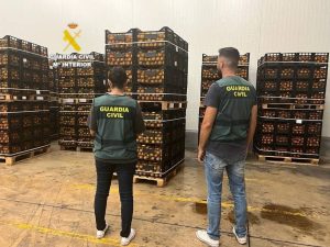 Extrabajador implicado: Robo de naranjas en Benicarló