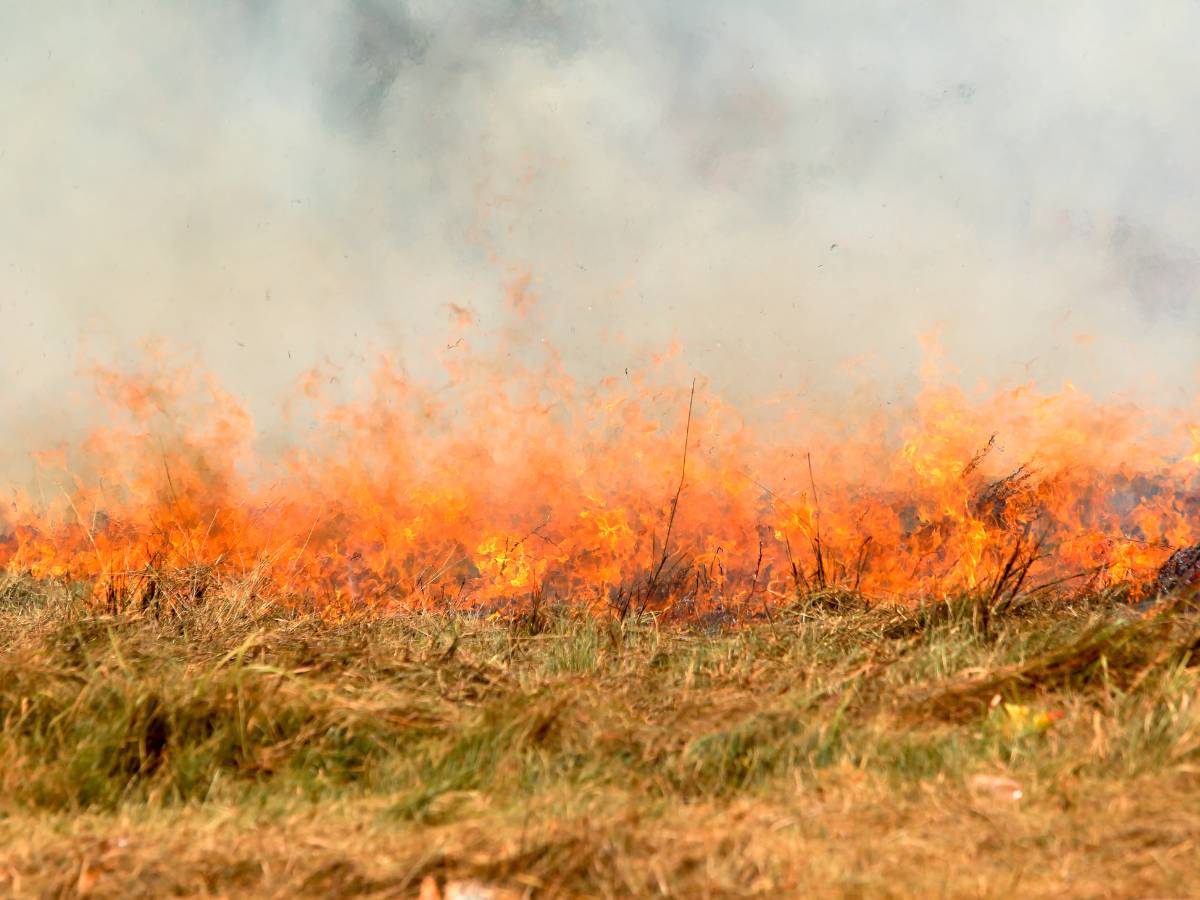 Lucha contra un incendio entre Dénia, Xàbia y Gata de Gorgos (Alicante)