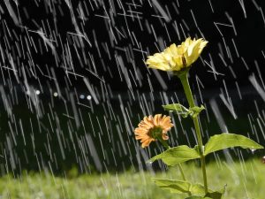 Adiós a la ola de calor con chubascos, granizo y tormentas