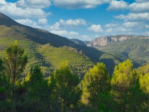 Montán aspira a transformar el municipio en un paraíso para el turismo deportivo – Castellón