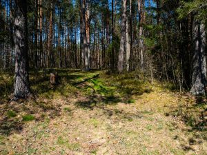 Tírig ofrece trabajo de peón forestal