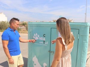 Campaña para el control de colonias felinas en Onda