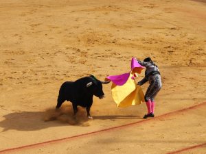 Diputación impulsa la Escuela Taurina en la provincia de Castellón y destina casi 90.000 para asociaciones taurinas