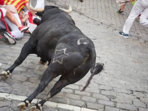 Manifestación anti-taurina en Alfafar (Valencia)