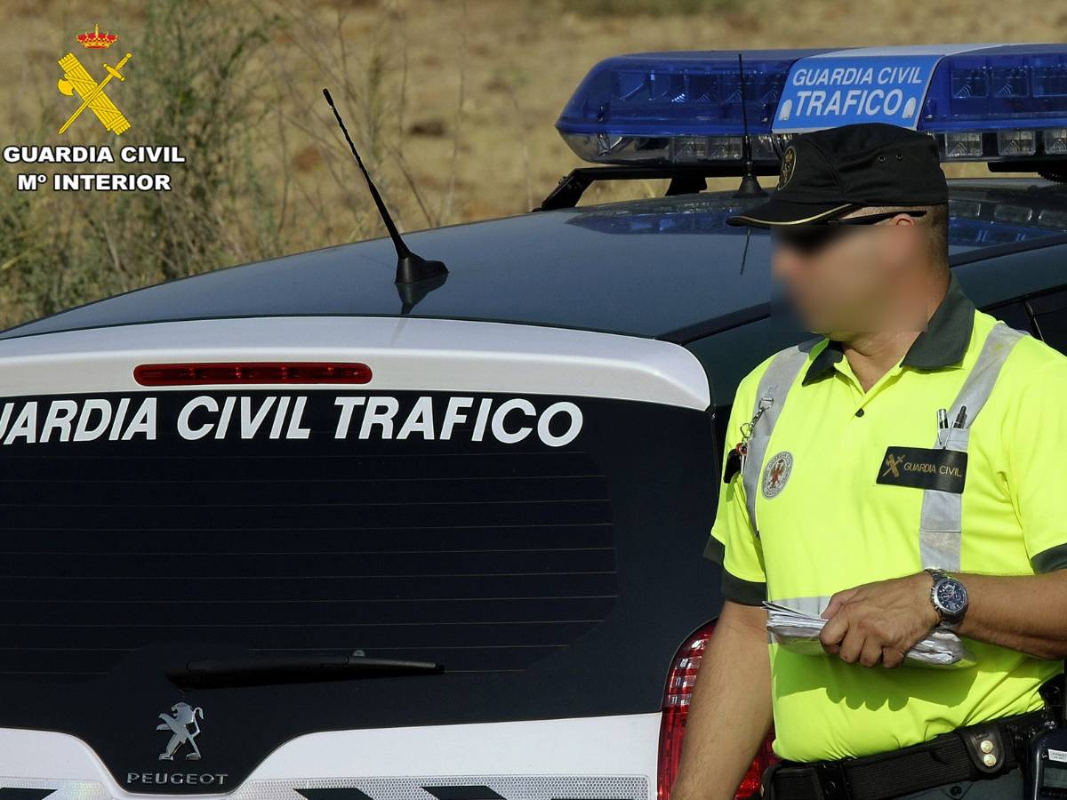 Se escapan varios toros al volcar un camión en Buñol