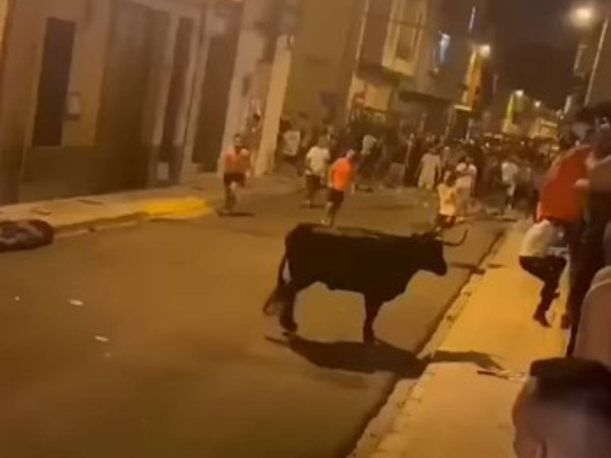 Sigue la polémica en Alfafar tras la cogida de una vaca a un participante