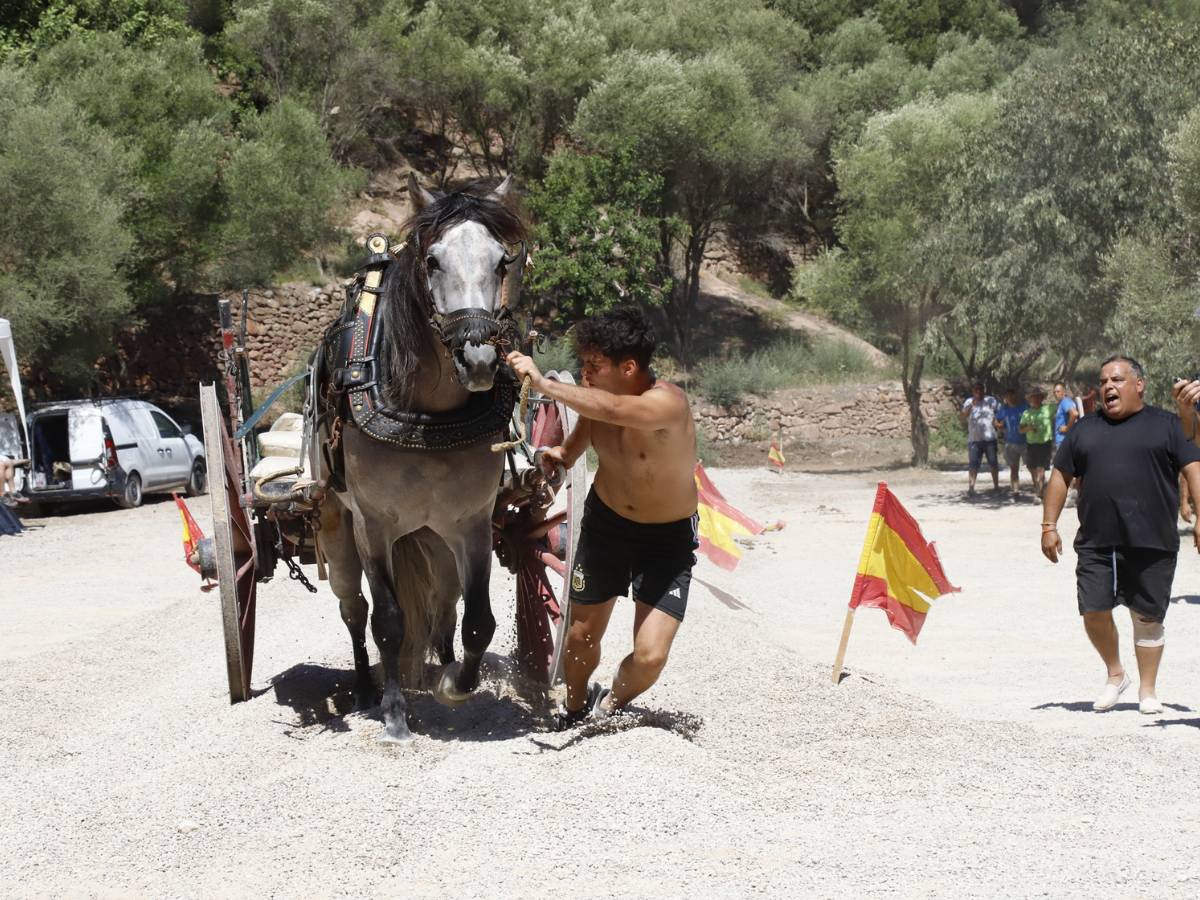 Semana Cultural previa a las Fiestas Patronales en Vilafamés