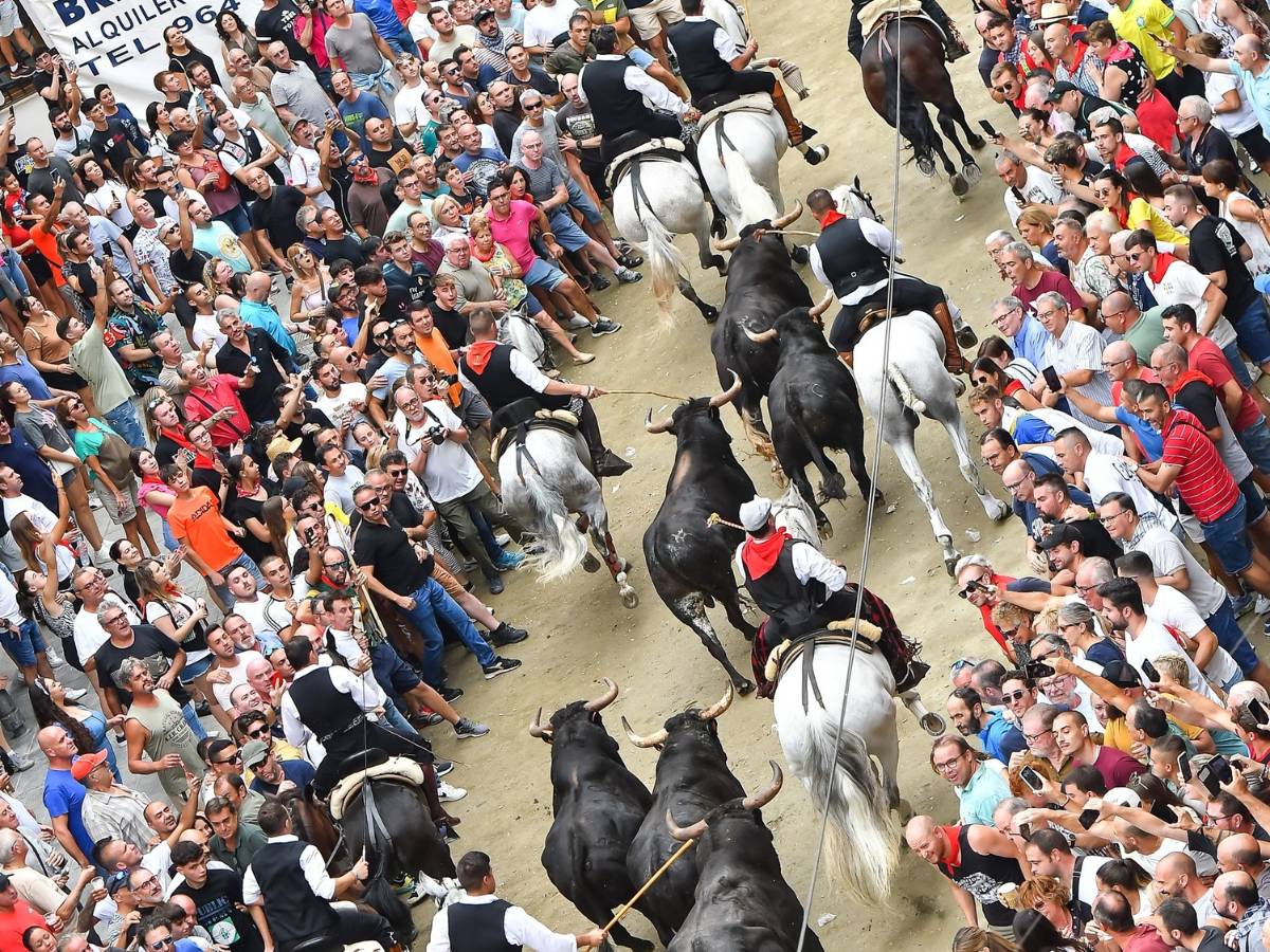 Quinta Entrada de Toros y Caballos de Segorbe 2023