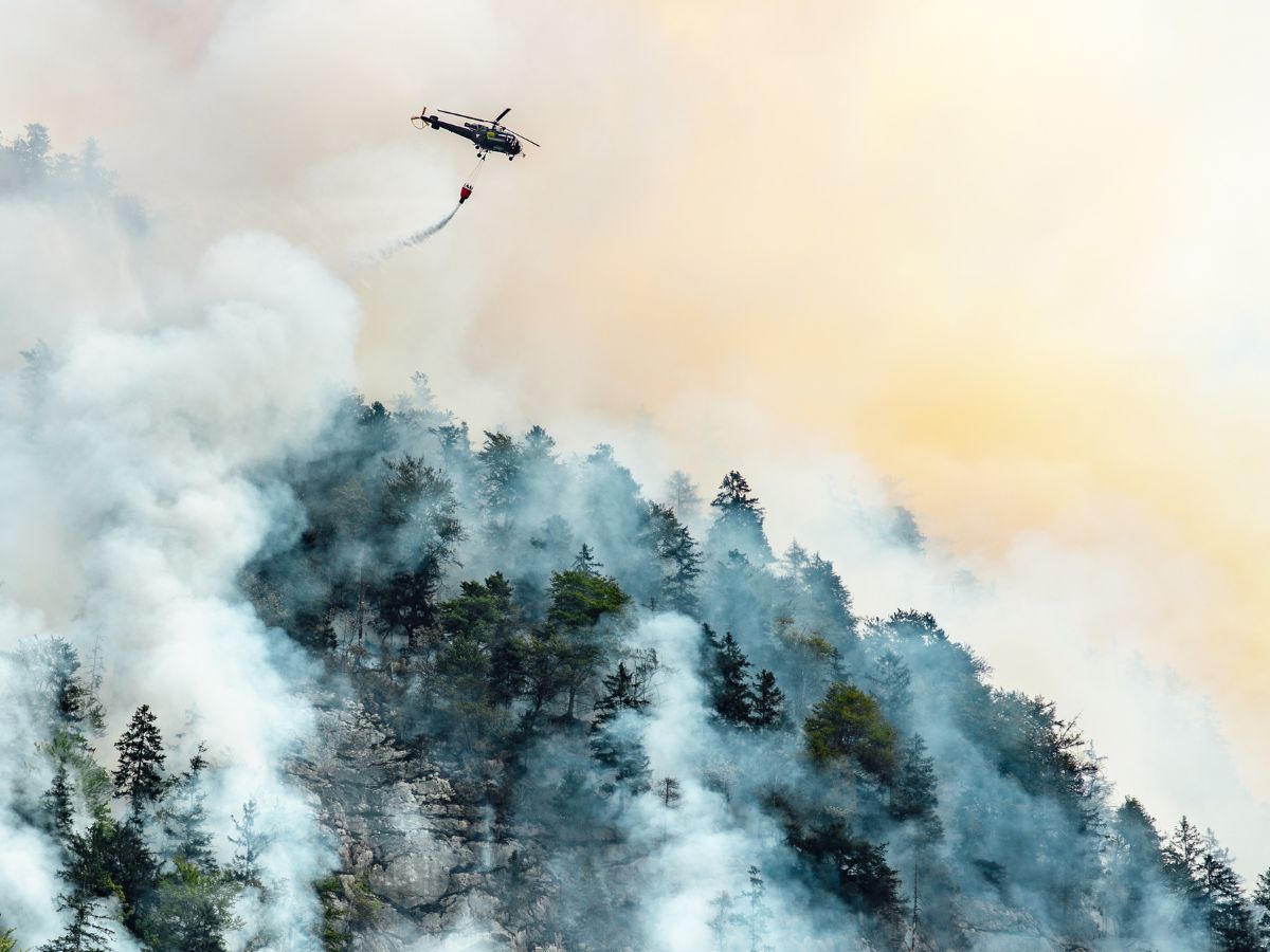 Ayudas del Gobierno por daños de inundaciones e incendios