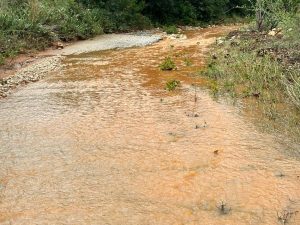 La DANA y sus efectos positivos y negativos en el campo