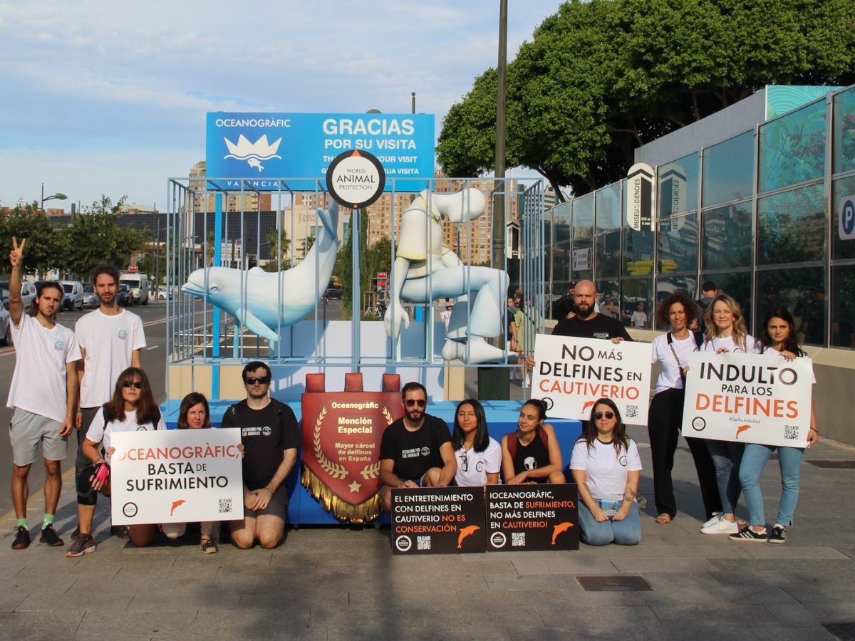 Una falla frente al Oceanogràfic por la libertad de los delfines